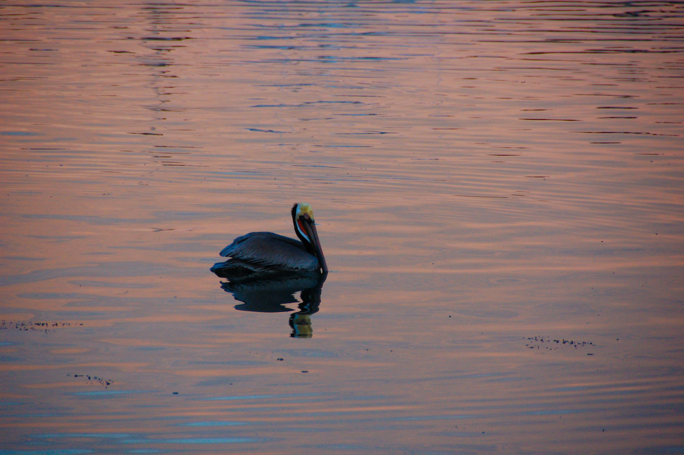 DSC_1478